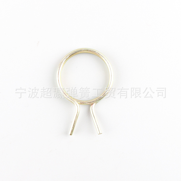 Fibulae torsion vere immaculatam ferro ligans