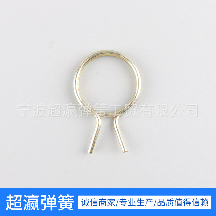 Fibulae torsion vere immaculatam ferro ligans